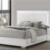 Cama